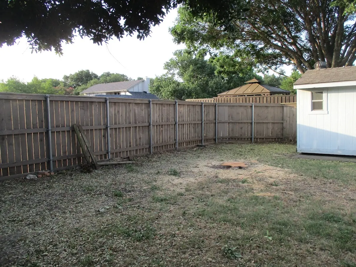 Cleared yard after professional tree removal in Bonner Springs