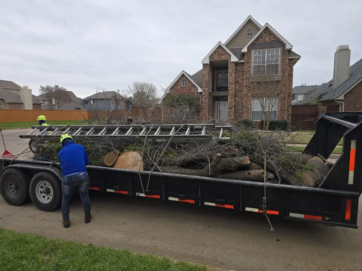 Expert Tree Pest Control with proper safety equipment in Bonner Springs